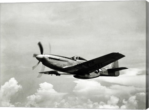 Framed Low angle view of a military airplane in flight, F-51 Mustang Print