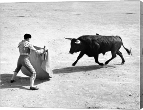 Framed High angle view of a bullfighter with a bull in a bullring, Madrid, Spain Print