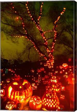 Framed Jack o&#39; lanterns lit up at night, Roger Williams Park Zoo, Providence, Rhode Island, USA Print