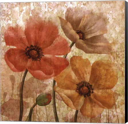Framed Poppy Allure I Print