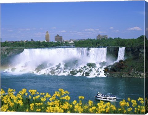 Framed Flowers in front of a waterfall, American Falls, Niagara Falls, New York, USA Print