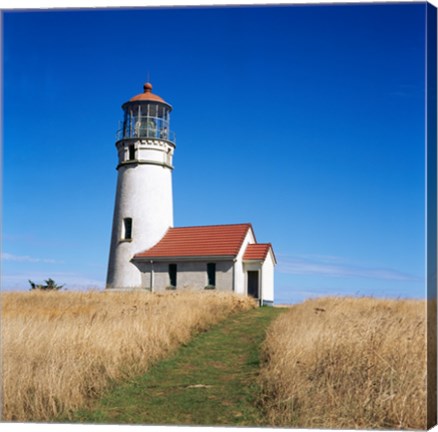 Framed Low angle view of a lighthouse, Cape Blanco Lighthouse, Cape Blanco State Park, Oregon, USA Print