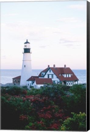 Framed Portland Head Lighthouse Cape And Field Elizabeth Maine USA Print