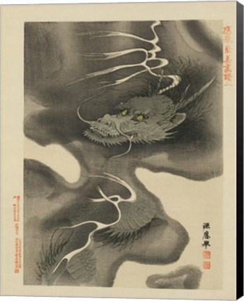 Framed Dragon Print