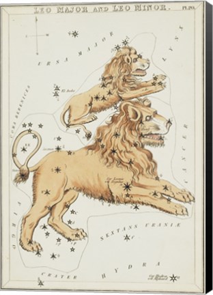 Framed Leo Major and Leo Minor Constellation Print