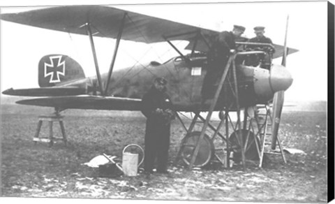 Framed Albatos D.III Print