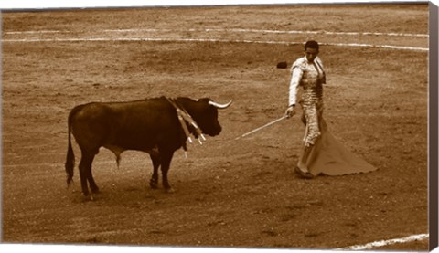 Framed Matador and Bull Print