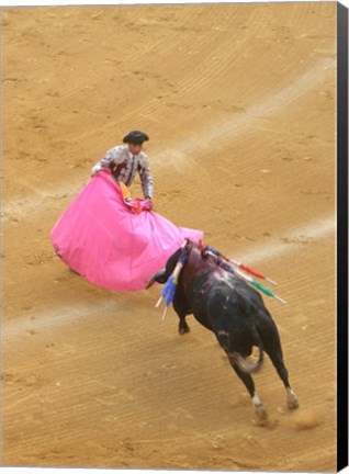 Framed Matador Bullfight Print