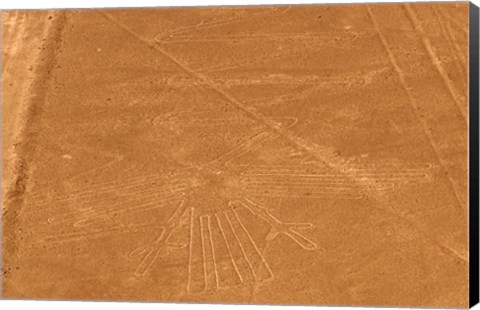 Framed Nazca Lines Design Print