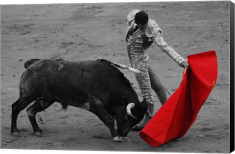 Framed Red Matador II Print