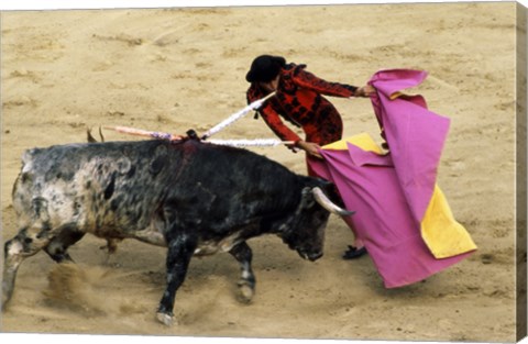 Framed High angle view of a matador fighting with a bull, Spain Print