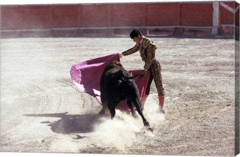 Framed Matador fighting with a bull, Spain Print