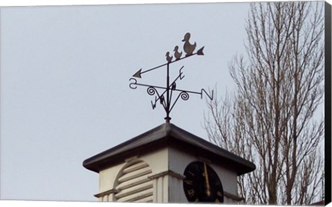 Framed Weathervane on Damerham Village Hall Print