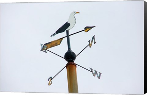 Framed Seagull Weathervane Print