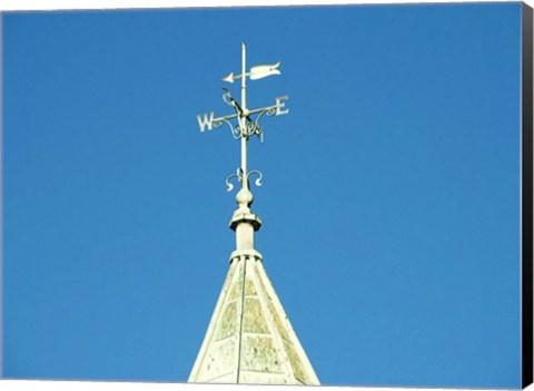 Framed Weathervane, Newcastle Print