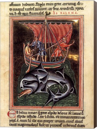 Framed 12th Century Painters - On Whales Folio from a Bestiary Print