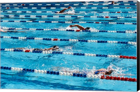 Framed High angle view of people swimming in a swimming pool, International Swimming Hall of Fame, Fort Lauderdale, Florida, USA Print