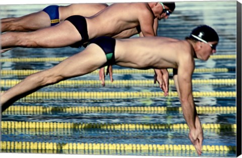 Framed Side profile of three swimmers jumping into a swimming pool Print