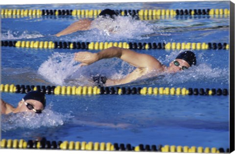 Framed Three swimmers racing in a swimming pool Print