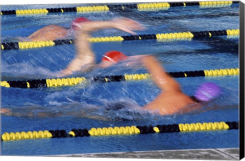 Framed Rear view of three swimmers racing in a swimming pool Print