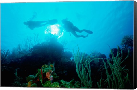 Framed Low angle view of two scuba divers swimming underwater, Belize Print