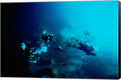 Framed Five scuba divers swimming underwater, Blue Hole, Belize Print