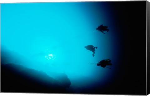 Framed Three scuba divers swimming underwater, Blue Hole, Belize Print