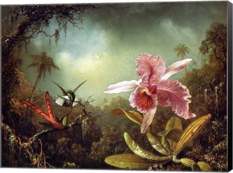 Framed Orchid with Two Hummingbirds 1871 Print