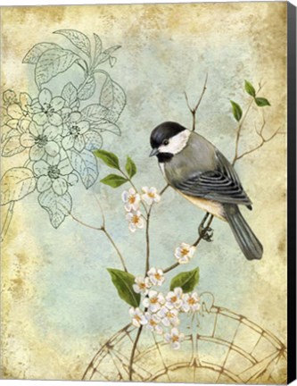 Framed Songbird Sketchbook II Print