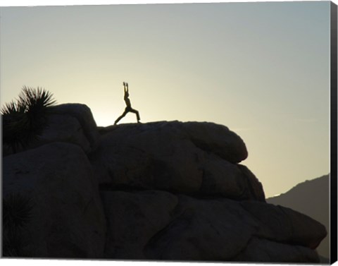 Framed Joshua Tree - Yoga Warrior Print