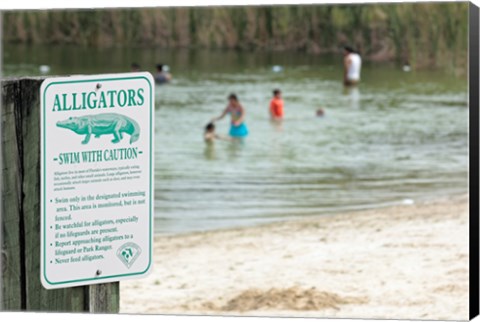 Framed Alligators warning sign at the lakeside, Florida, USA Print