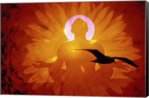 Framed Image of a flower and bird superimposed on a person meditating Print