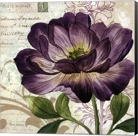 Framed Study in Purple II -mini Print