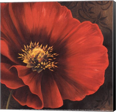 Framed Rouge Poppies I -petite Print