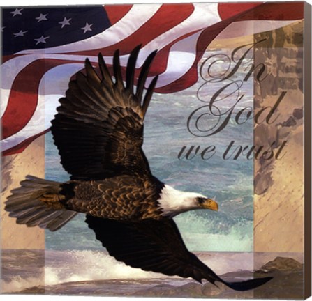 Framed Freedom I Print