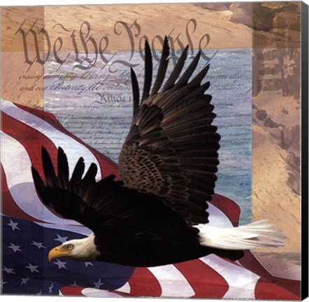 Framed Freedom II Print