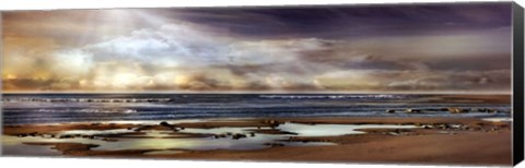 Framed TIDAL POOL Print