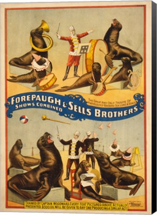 Framed Sells Brothers Sea Lion Circus Print