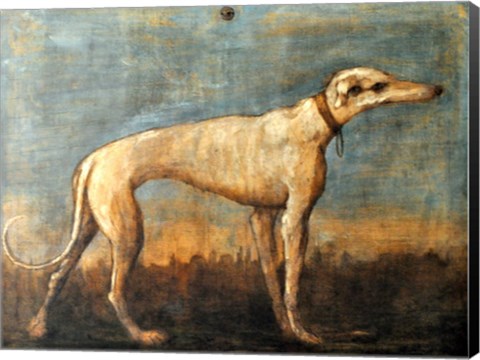 Framed Greyhound, Giandomenico Tiepolo Print