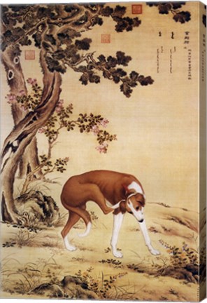 Framed Ten Prized Dogs Chinese Greyhound Print