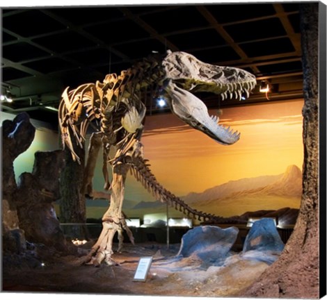 Framed Tyrannosaurus Fossil Reproduction Print
