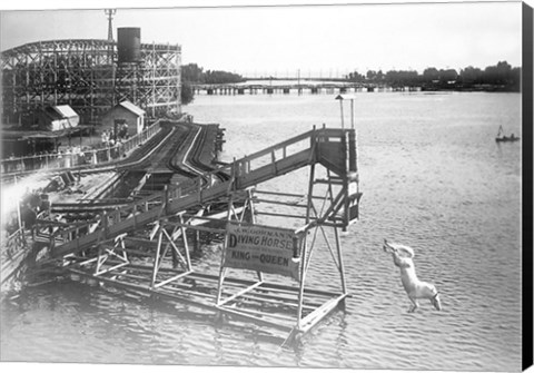 Framed diving horse at the Hanlan&#39;s Point Amusement Park, Toronto, Canada. Print