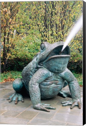 Framed USA, Texas, Dallas, Dallas Arboretum, frog sculpture spitting out water Print