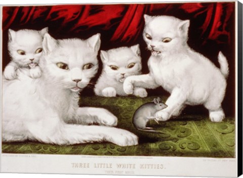 Framed Three Little White Kitties Print