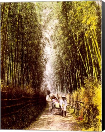 Framed Bamboo Path Print