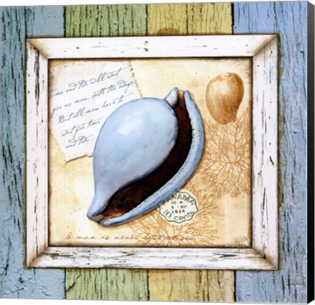 Framed Sea Treasures IV Print