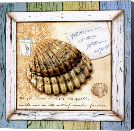 Framed Sea Treasures V Print