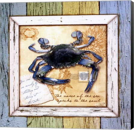 Framed Sea Treasures VII Print