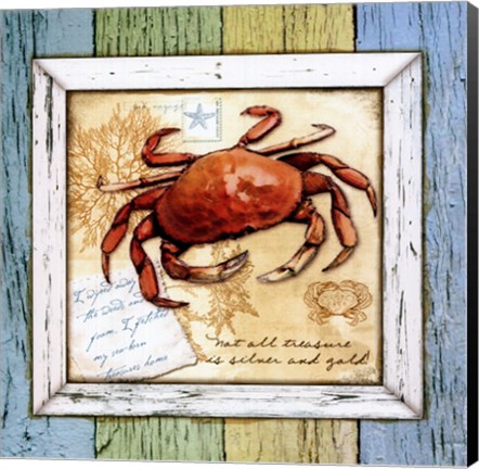 Framed Sea Treasures VIII Print