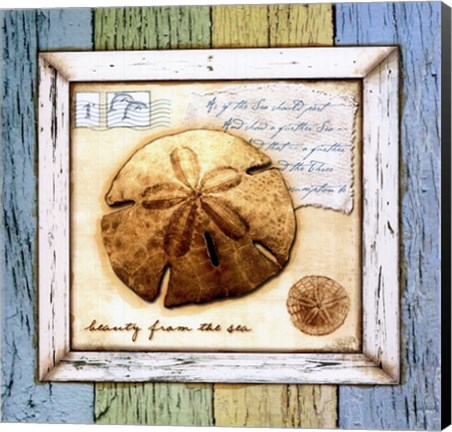 Framed Sea Treasures XI Print